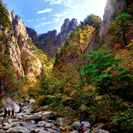 단풍여행 당일 단풍버스여행