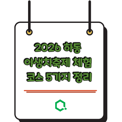 2026 하동 야생차축제 체험 코스 5가지 정리