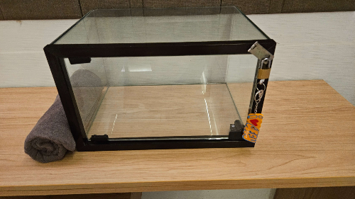 필리핀-세부-스파월드-후기-쿠폰