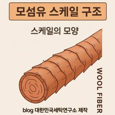 모섬유 스케일의 구조와 섬유가 줄어드는 이유