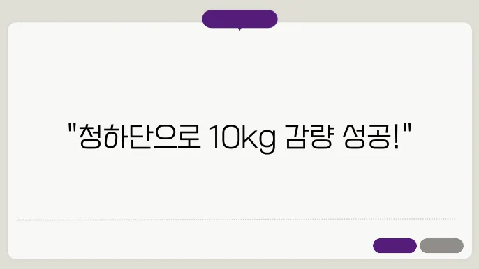 청하단 가격 변동성과 구매 팁