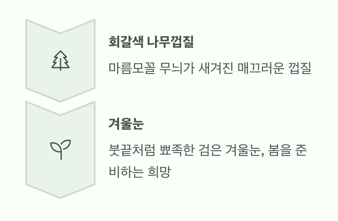 겨울&amp;#44; 드러나는 본연의 아름다움
