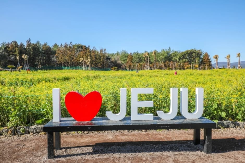 제주 휴애리 유채꽃축제 ❘ 동물과 함께하는 감성 봄 여행! 일정 &amp; 체험 정보 안내