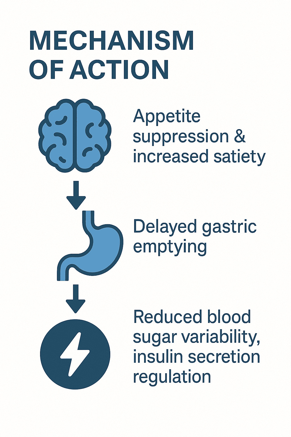 위고비 작용 원리