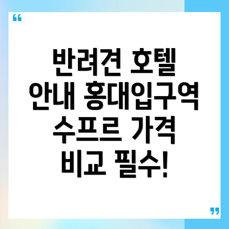 홍대입구역 반려견 호텔