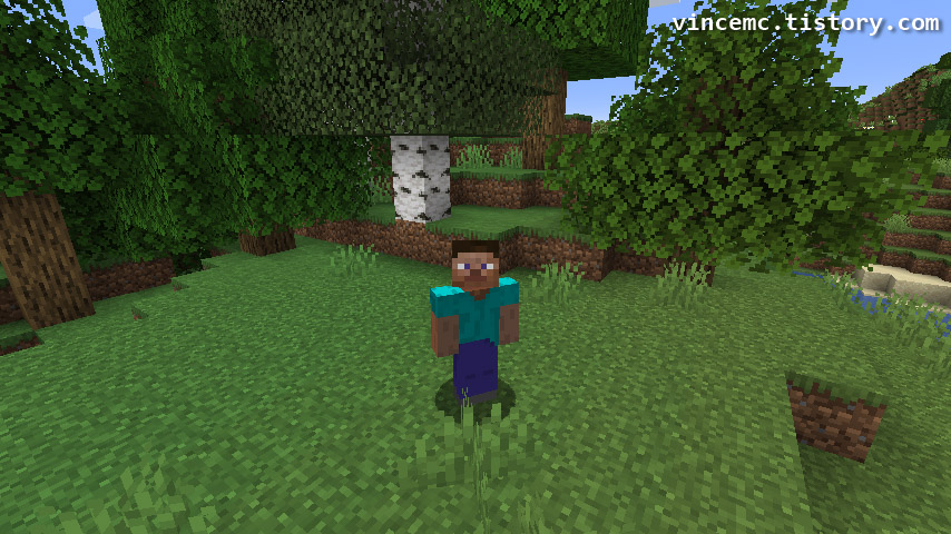 마인크래프트 체험판을 했을 때 적용되는 기본 스티브 스킨