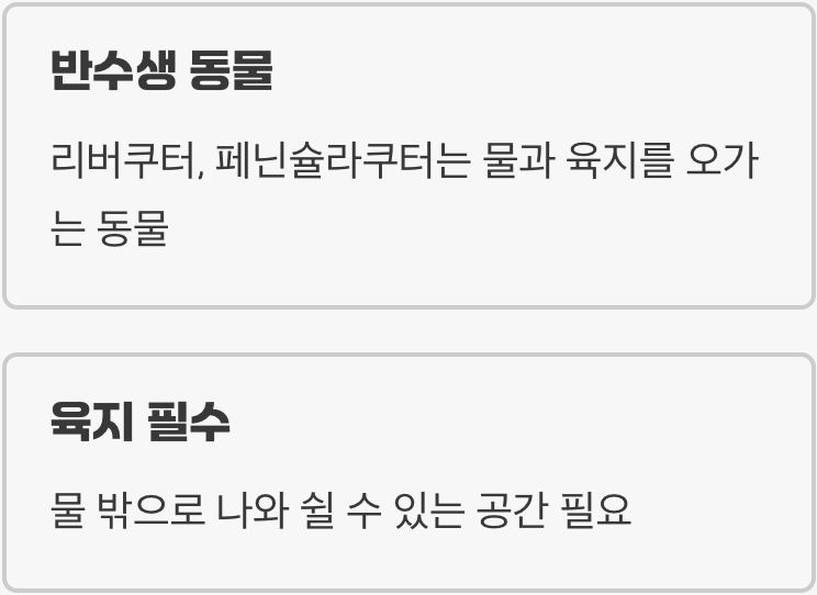사육장 - '물'만 있으면 된다는 가장 큰 오해