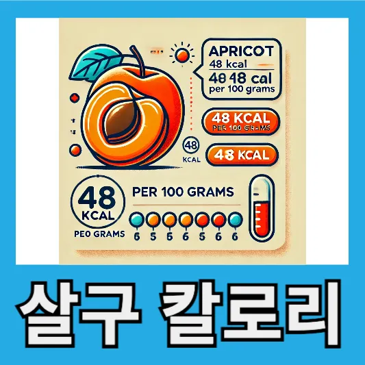 살구의 영양성분 및 칼로리