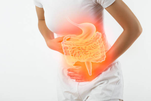 다제스캡슐 효능 및 가격 &amp;#44; 소화제 효과와 성분!