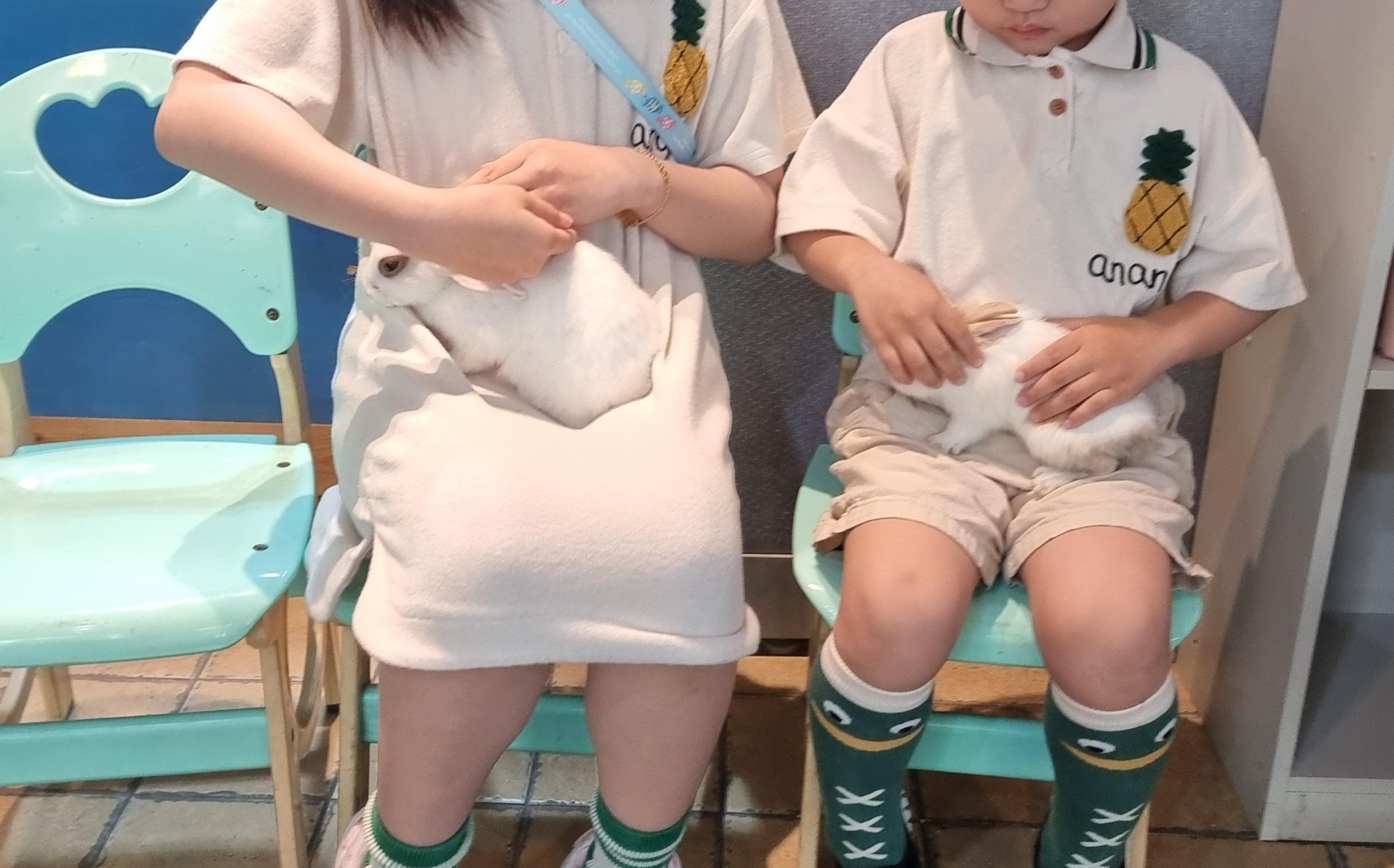 토끼 만지기 체험