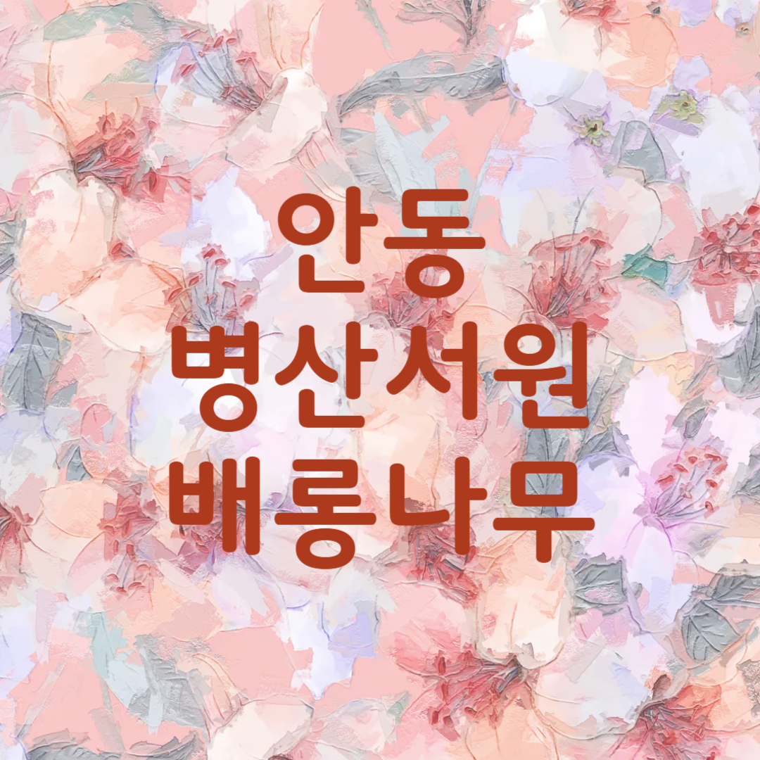 안동 병산서원 배롱나무 꽃
