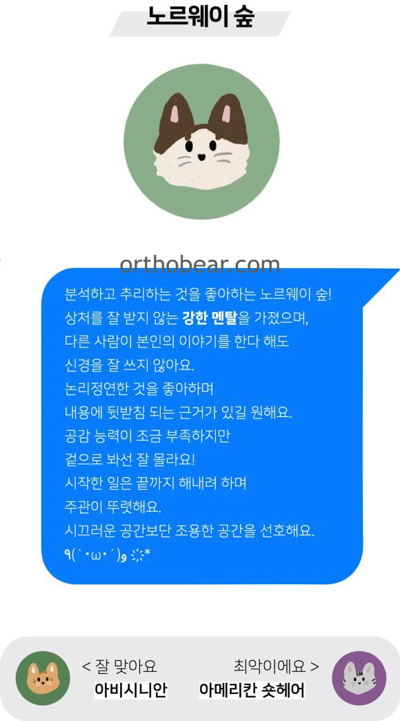 노르웨이 숲 mbti