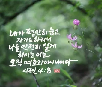 시편 85장 10절 읽기 - 인자와 진리가 같이 만나고 의와 화평이 서로 입맞추었으며_19