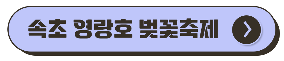 강원도 축제 일정