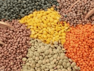 렌틸콩 삶기(삶는법) 먹는 방법(요리, 밥) 효능 및 종류