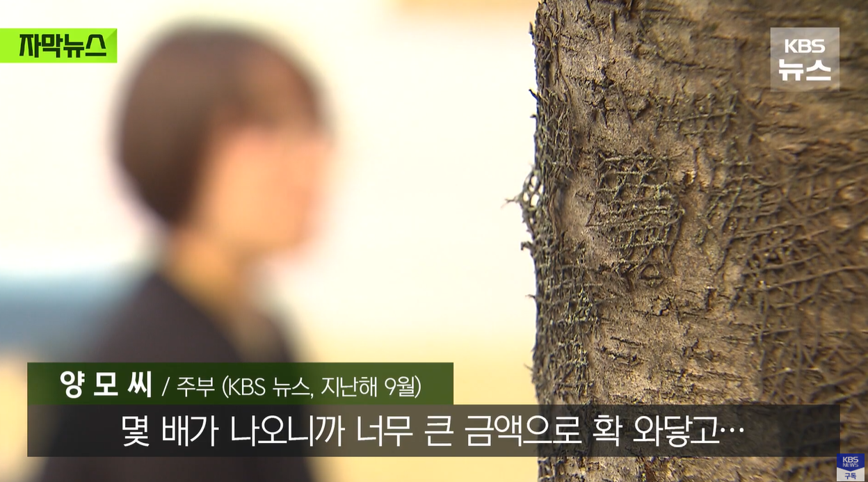 전기요금 누진제 누진세폭탄 가정용전기 전기요금폭탄 누진제폐지 에너지정책 현실반영요금제