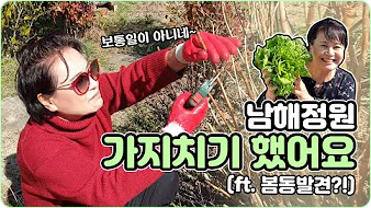 박원숙 박원숙의 같이 삽시다 시즌3, 나이, 재방송, 남해 카페, 프로필, 아들,고향, 가족, 드라마