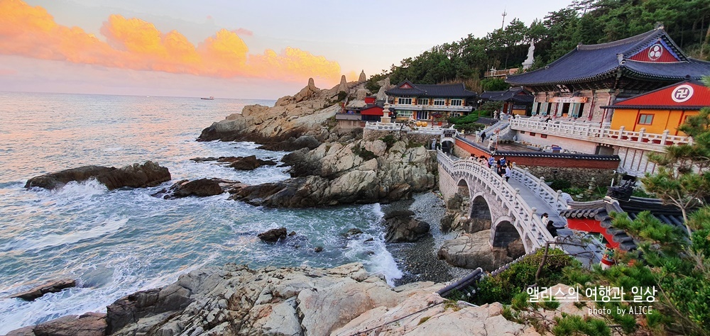 마스크벗고 봄과 여름 부산 야외 나들이 추천 BEST 10