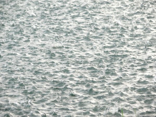 1호 태풍 우딥 경로 (+ 실시간 현재 위치) 