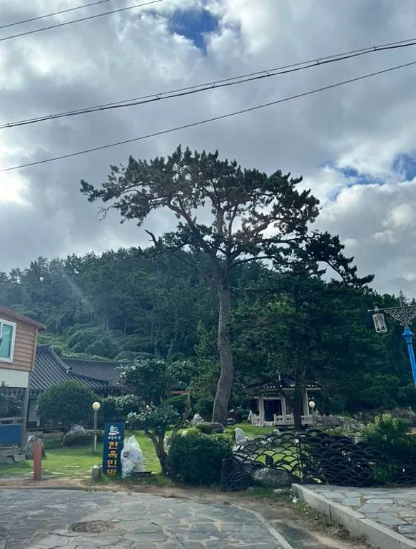 외달도해수욕장