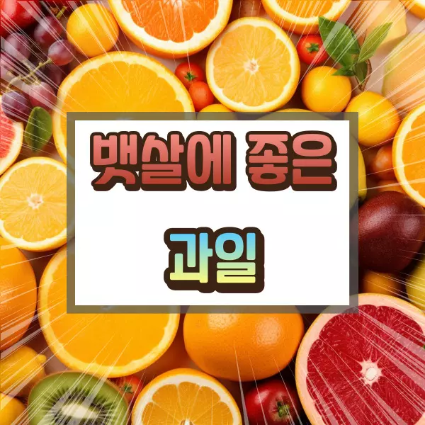 뱃살에 좋은 과일