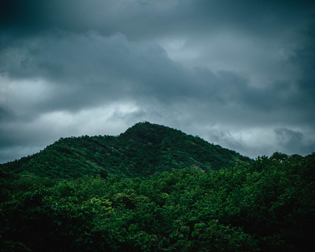 Monsoon