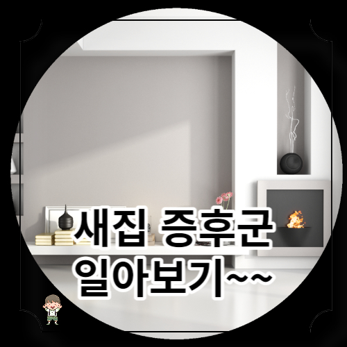 새집 증후군 없애는 방법