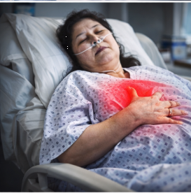 고지혈증 팩트체크