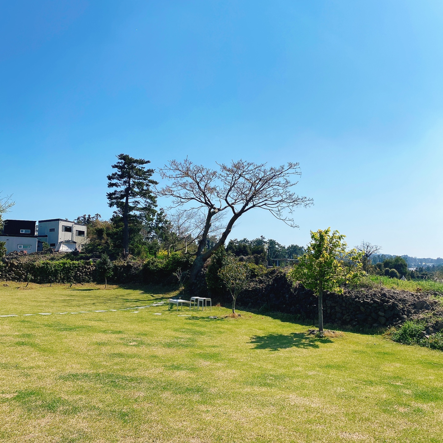 제주 애월 장전리 왕벚꽃거리 근처 문태준 시인 카페 오롬마르