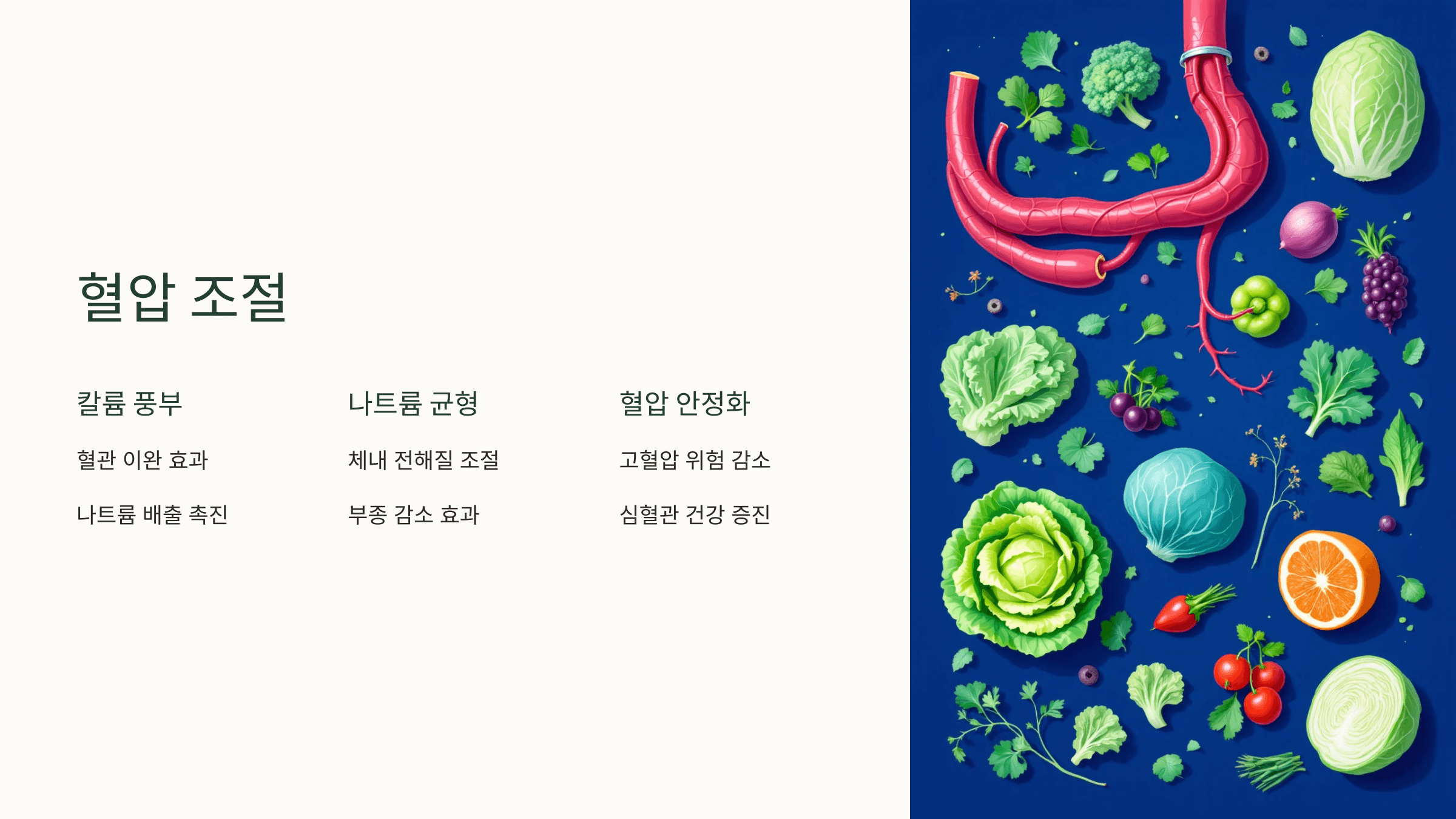 양배추 사진입니다.