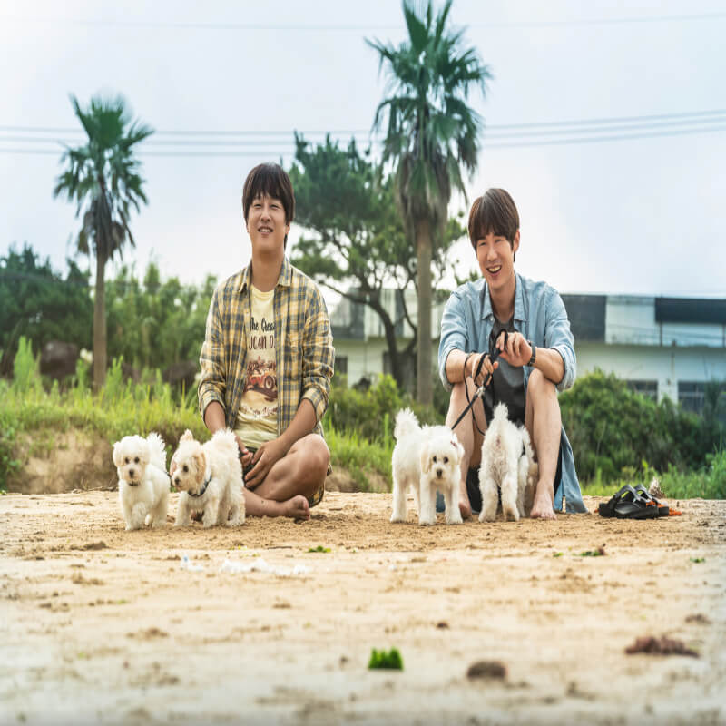 진국과 민수가 강아지 4형제와 웃고있다.