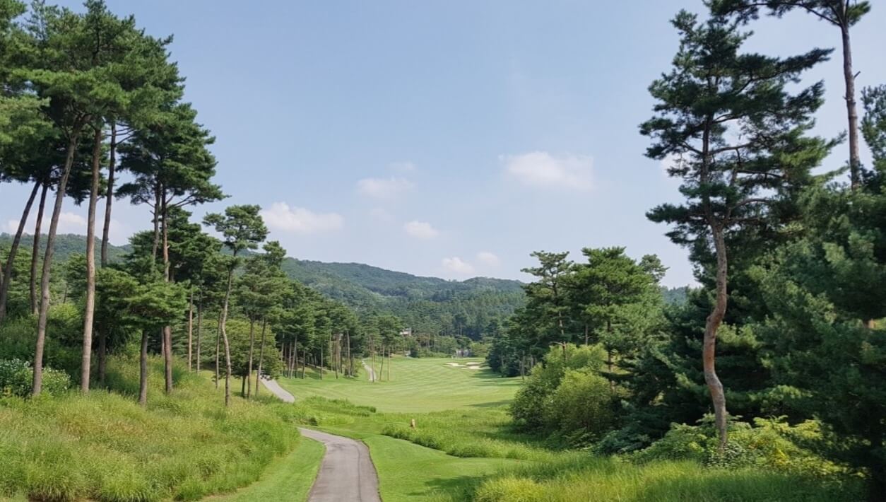 2025 하이트진로 챔피언십 무료티켓&middot;주차&middot;갤러리 총정리