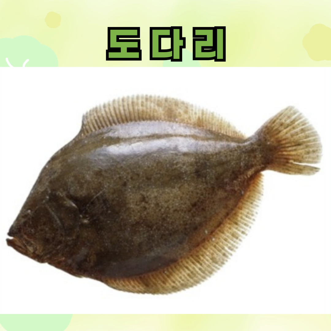봄제철