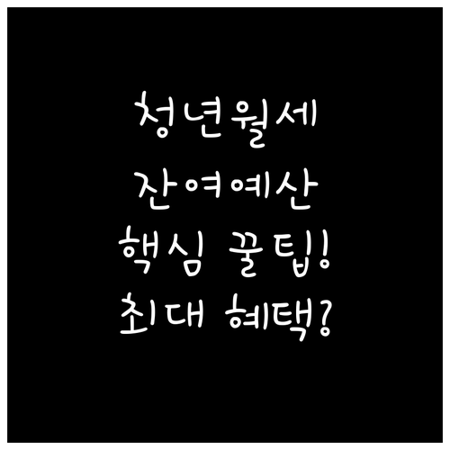 잔여 예산보다 빠른 신청이 핵심 청년..