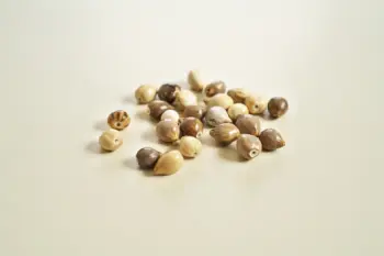 율무 효능 및 영양성분, 부작용