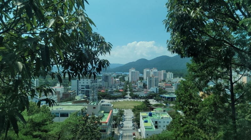 제황산모노레일카6