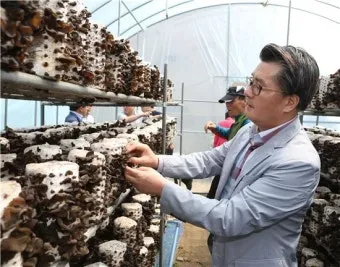 목이버섯 재배 원목 재배 수분 관리 위생 관리_6