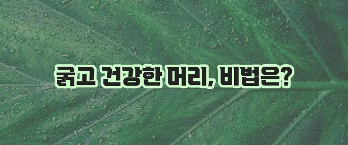 머리카락 굵어지는 방법과 좋은 음식 꼭 알아봐야겠네요!