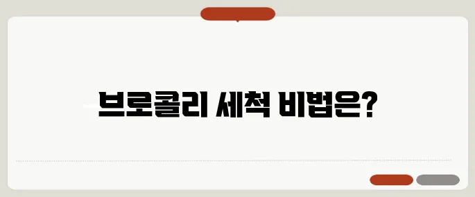 브로콜리 씻는방법 쉽게 정리