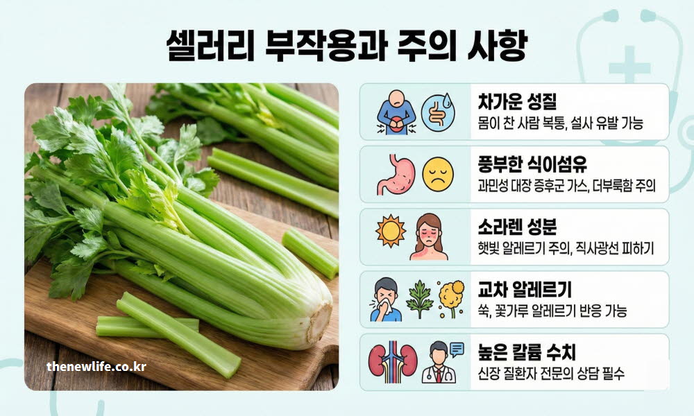 셀러리 효능과 함께 과다 섭취 시 나타날 수 있는 부작용과 주의 사항을 설명하는 이미지