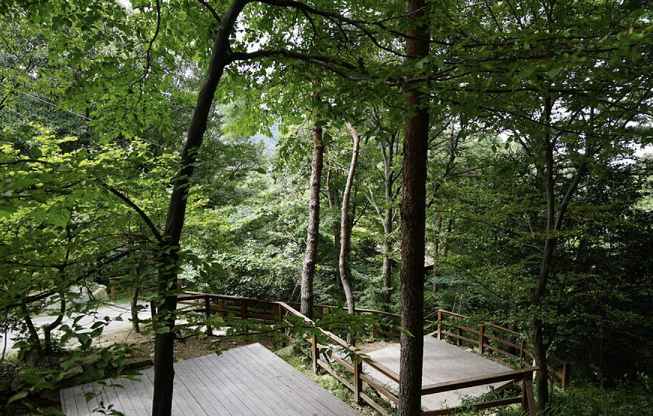 10월 국내 가을여행