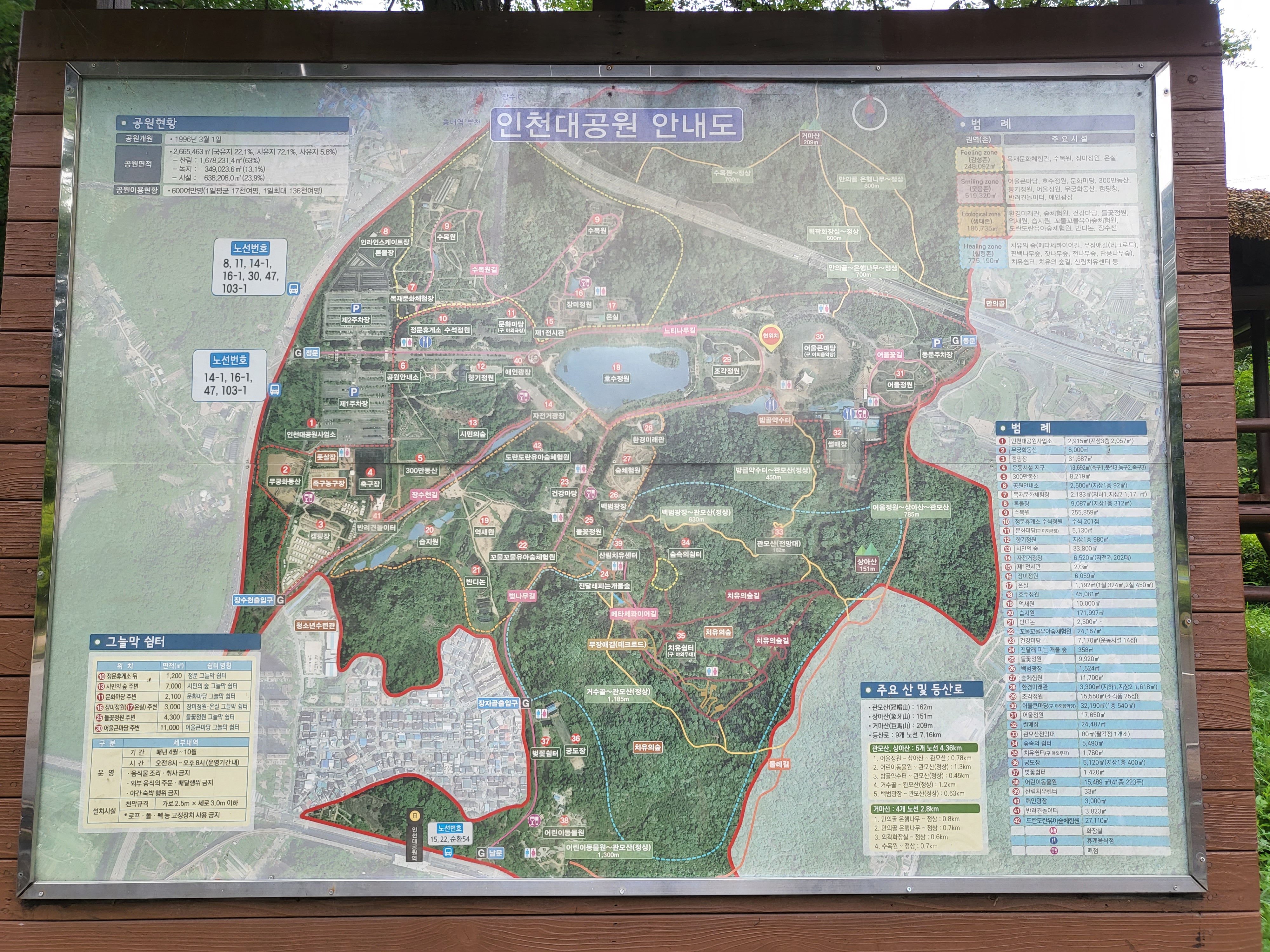 대공원 돈까스 & 국수 - 지도