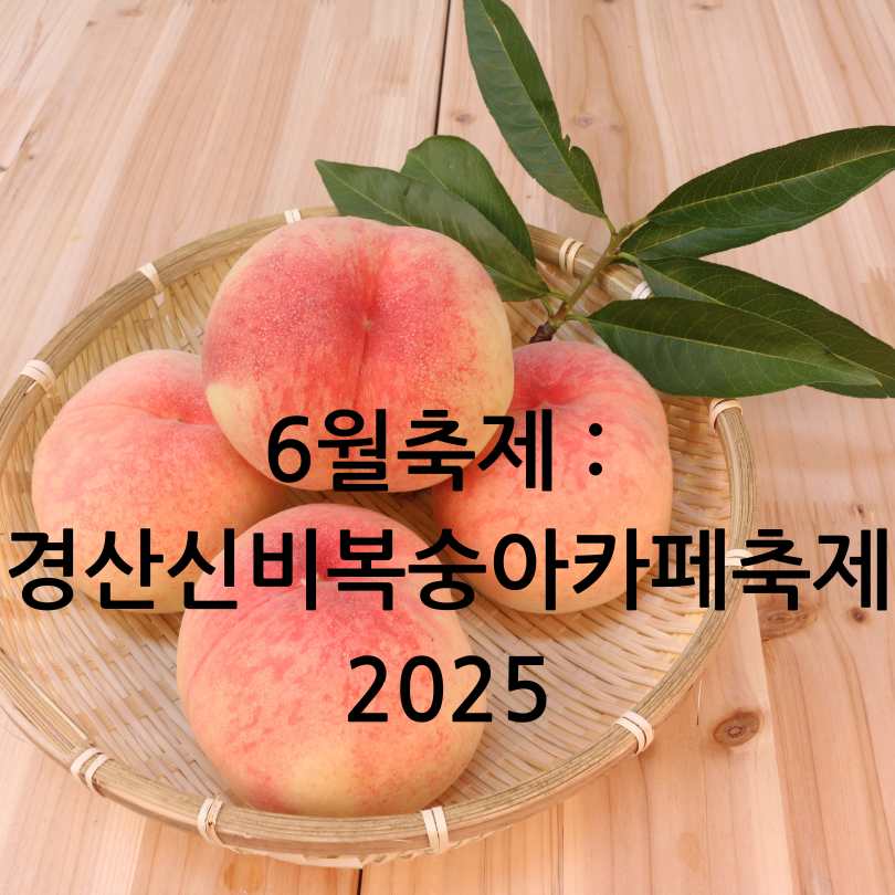 경산 신비복숭아 카페 축제 2025 일정 및 참여 카페