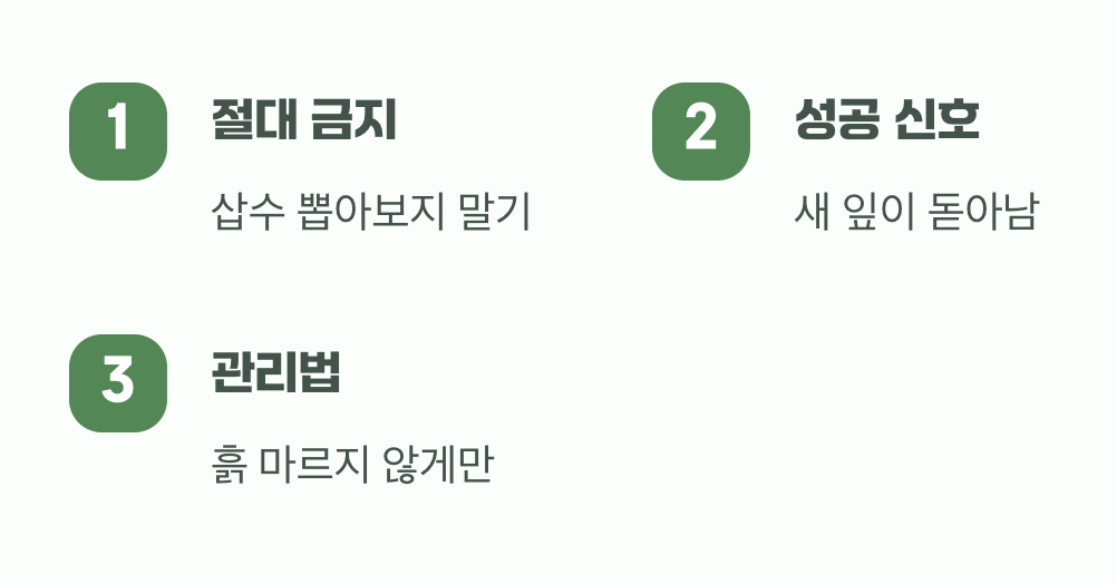 성급함은 금물, 기다림의 미학