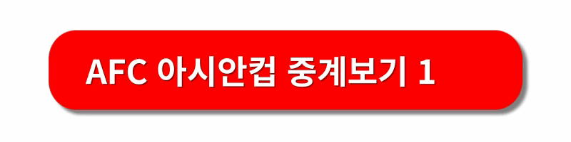 AFC아시안컵-경기일정