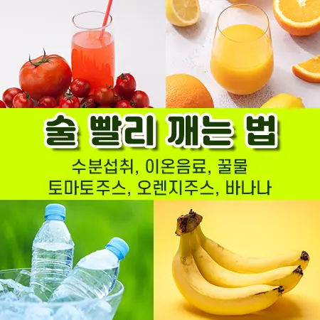 술 빨리 깨는 법