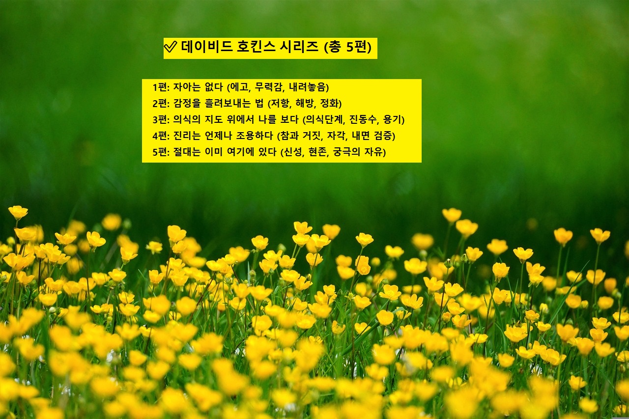 데이비드 호킨스 시리즈, 감정을 흘려보내는 법 관련 이미지