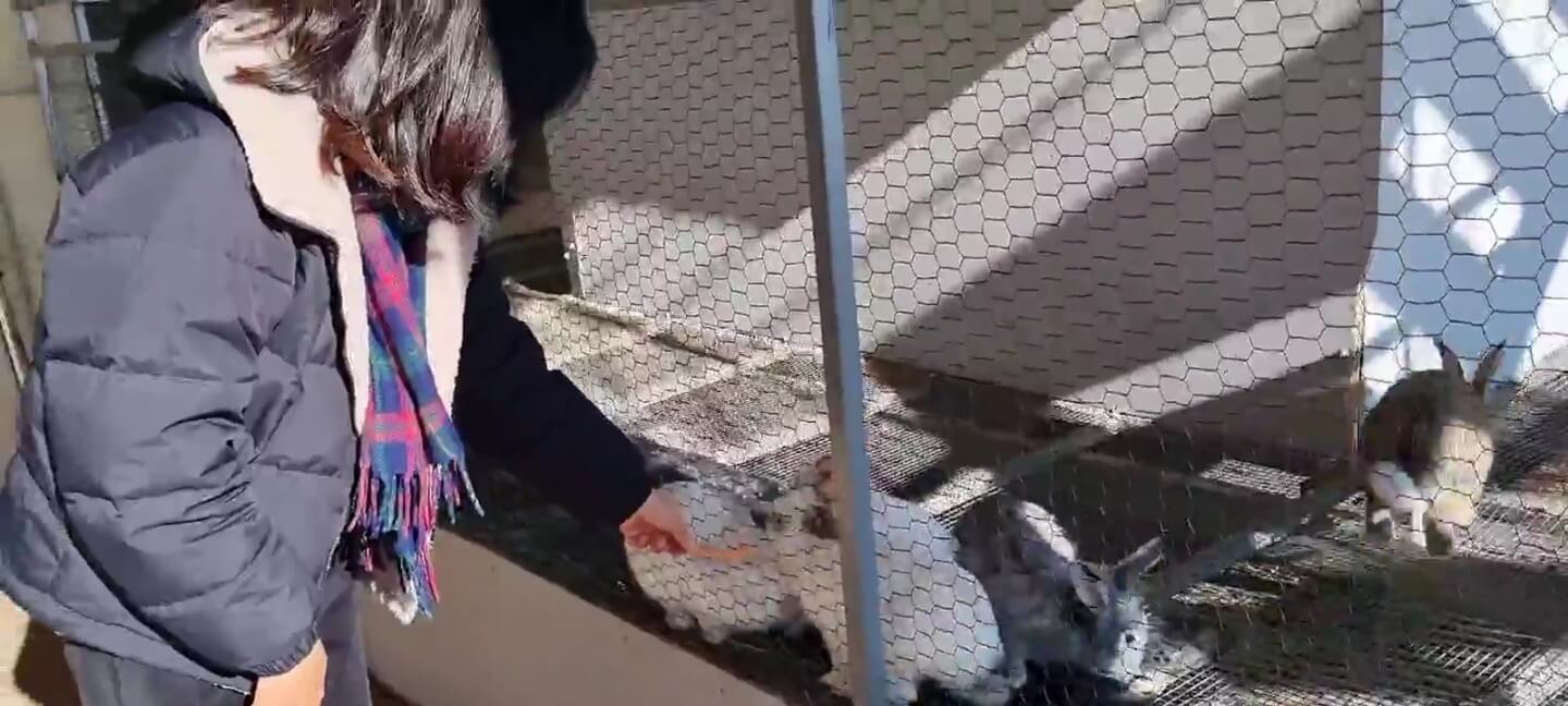 하동 금오산 토끼