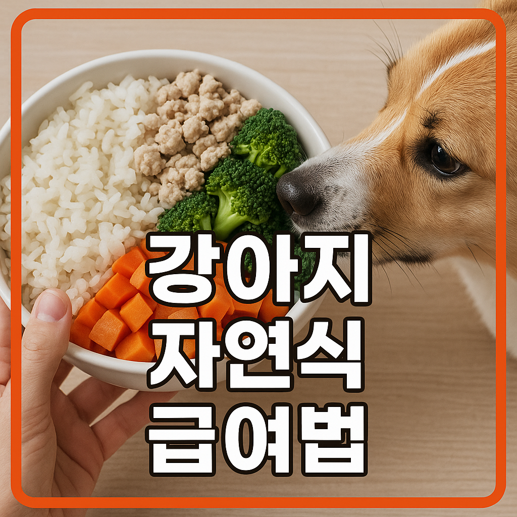 강아지 자연식 급여법