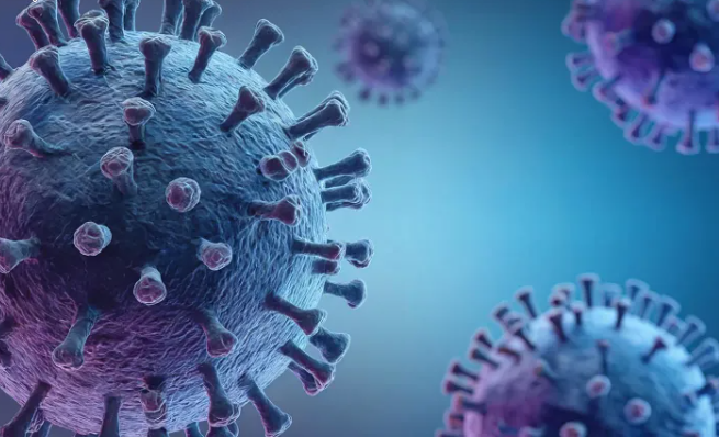 드시모네-유산균